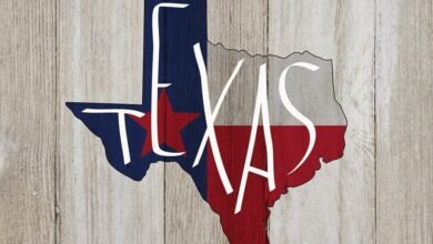 Fun Facts About Texas That May Surprise You